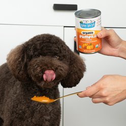 Nummy Tum-Tum Pure Organic Pumpkin Canned Dog & Cat Food Supplement, 15-oz, case of 12 slide 2 of 5