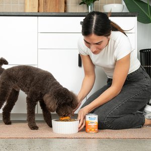 Nummy Tum-Tum Pure Organic Pumpkin Canned Dog & Cat Food Supplement, 15-oz, case of 12