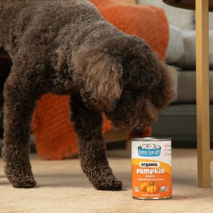Nummy Tum-Tum Pure Organic Pumpkin Canned Dog & Cat Food Supplement, 15-oz, case of 12