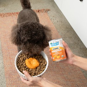 Nummy Tum-Tum Pure Organic Pumpkin Canned Dog & Cat Food Supplement, 15-oz, case of 12