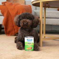 Nummy Tum-Tum Pure Organic Sweet Potato Canned Dog & Cat Food Supplement, 15-oz, case of 12 slide 2 of 6