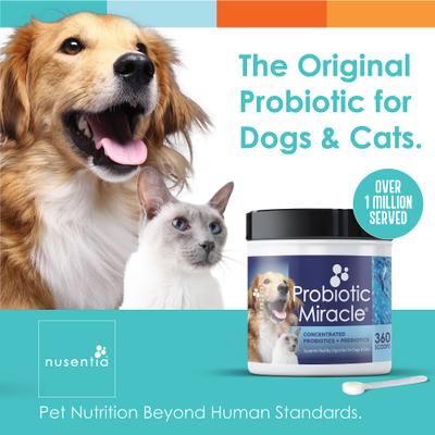 Show full view: Nusentia Probiotic Miracle Premium Blend Dog & Cat Supplement, 131g jar slide 3 of 9