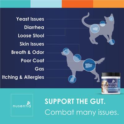 Show full view: Nusentia Probiotic Miracle Premium Blend Dog & Cat Supplement, 131g jar slide 6 of 9