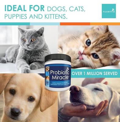 Show full view: Nusentia Probiotic Miracle Premium Blend Dog & Cat Supplement, 131g jar slide 8 of 9