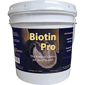 Nutra Cell Labs Biotin Pro Powder Horse Supplement, 4-lb tub