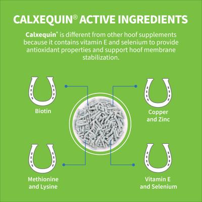Show full view: Nutramax Calxequin Daily Hoof Support Vitamin E + Selenium Pellets Horse Hoof Supplement, 1260-gr bag slide 4 of 10