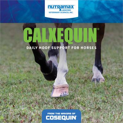 Show full view: Nutramax Calxequin Daily Hoof Support Vitamin E + Selenium Pellets Horse Hoof Supplement, 1260-gr bag slide 3 of 10