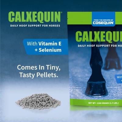 Show full view: Nutramax Calxequin Daily Hoof Support Vitamin E + Selenium Pellets Horse Hoof Supplement, 1260-gr bag slide 8 of 10