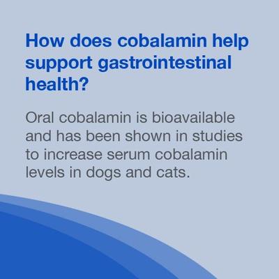 Show full view: Nutramax Cobalequin Chewable Tablets B12 Supplement for Cats & Small Dogs, 45 count slide 7 of 12