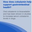 Show in main carousel: Nutramax Cobalequin Chewable Tablets B12 Supplement for Medium to Large Dogs, 45 count slide 6 of 11