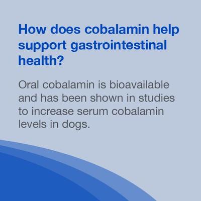 Show full view: Nutramax Cobalequin Chewable Tablets B12 Supplement for Medium to Large Dogs, 45 count slide 7 of 12