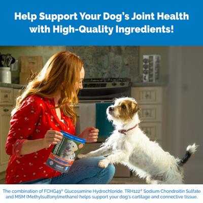 Show full view: Nutramax Cosequin (DS) Plus MSM Soft Chews Joint Health Dog Supplement, 120 count & Nutramax Cosequin Maximum Strength with MSM Plus Omega-3's Mini Soft Chews Joint Health Small Dog Supplement, 45 count slide 7 of 9