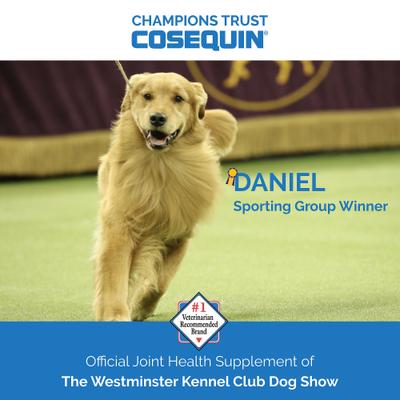 Show full view: Nutramax Cosequin (DS) Plus MSM Soft Chews Joint Health Dog Supplement, 120 count & Nutramax Cosequin Maximum Strength with MSM Plus Omega-3's Mini Soft Chews Joint Health Small Dog Supplement, 45 count slide 8 of 9