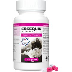 Nutramax Cosequin Hip & Joint with Glucosamine & Chondroitin Capsules Joint Supplement for Cats, 30 count