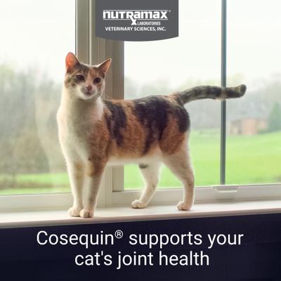 Show full view: Nutramax Cosequin Hip & Joint with Glucosamine & Chondroitin Capsules Joint Supplement for Cats, 30 count slide 3 of 10