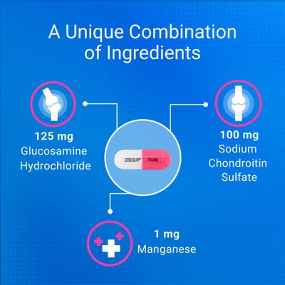 Show full view: Nutramax Cosequin Hip & Joint with Glucosamine & Chondroitin Capsules Joint Supplement for Cats, 55 count slide 6 of 11