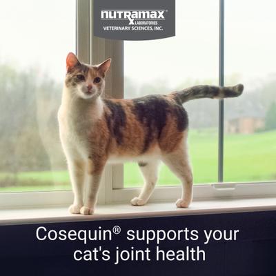 Show full view: Nutramax Cosequin Hip & Joint with Glucosamine & Chondroitin Capsules Joint Supplement for Cats, 55 count slide 3 of 11