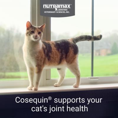 Show full view: Nutramax Cosequin Hip & Joint with Glucosamine & Chondroitin Capsules Joint Supplement for Cats, 80 count slide 3 of 11