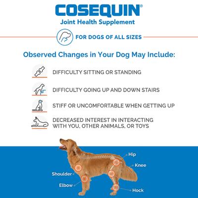 Show full view: Nutramax Cosequin Joint Health Supplement with Glucosamine & Chondroitin Chewable Tablets for Dogs, 250 count slide 6 of 13