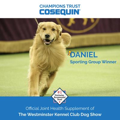 Show full view: Nutramax Cosequin Joint Health Supplement with Glucosamine & Chondroitin Chewable Tablets for Dogs, 250 count slide 7 of 13