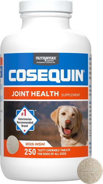 Amazon.com : Nutramax Cosequin for Dogs Joint Health
