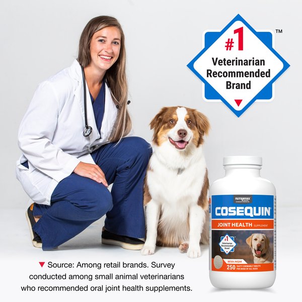 Show full view: Nutramax Cosequin Joint Health Supplement with Glucosamine, Chondroitin & MSM Chewable Tablets for Dogs, 250 count slide 3 of 10