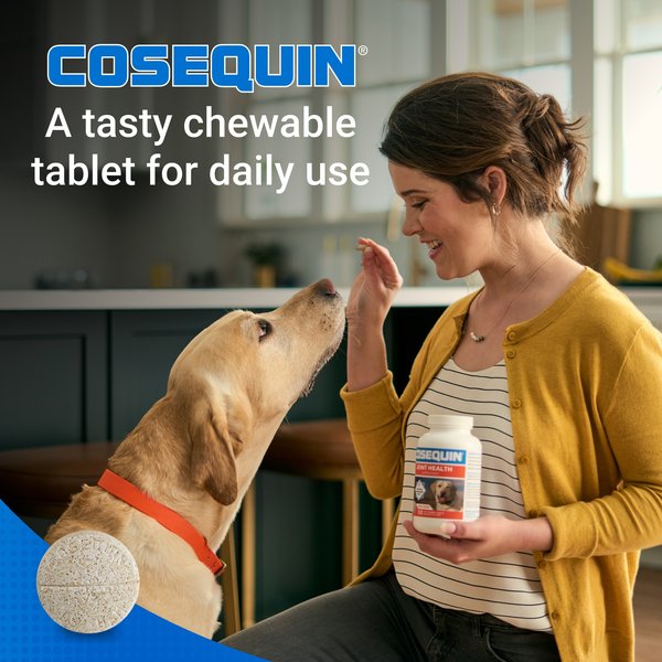 Show full view: Nutramax Cosequin Joint Health Supplement with Glucosamine, Chondroitin & MSM Chewable Tablets for Dogs, 250 count slide 4 of 10