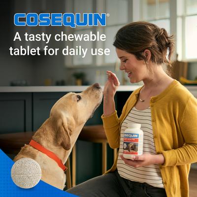 Show full view: Nutramax Cosequin Joint Health Supplement with Glucosamine, Chondroitin & MSM Chewable Tablets for Dogs, 250 count slide 5 of 10