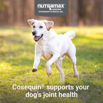 Show full view: Nutramax Cosequin Joint Health Supplement with Glucosamine, Chondroitin & MSM Chewable Tablets for Dogs, 60 count slide 3 of 11