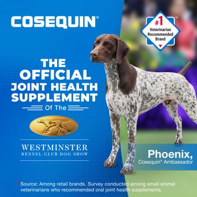 Show full view: Nutramax Cosequin Joint Health Supplement with Glucosamine, Chondroitin & MSM Chewable Tablets for Dogs, 60 count slide 7 of 11