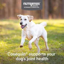Nutramax Cosequin Joint Health Supplement with Glucosamine, Chondroitin, MSM & HA Chewable Tablet for Dogs, 75 count slide 2 of 8