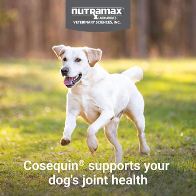 Show full view: Nutramax Cosequin Joint Health Supplement with Glucosamine, Chondroitin, MSM & HA Chewable Tablet for Dogs, 75 count slide 3 of 12
