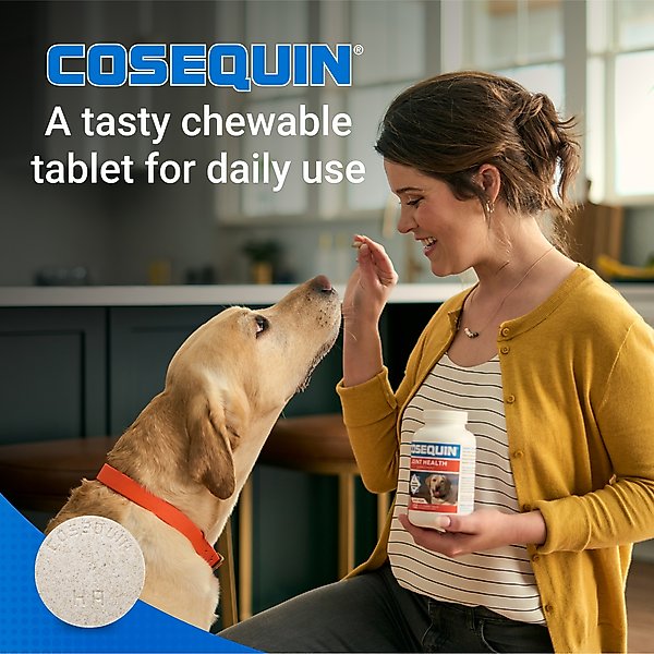 Nutramax Cosequin Maximum Strength Chewable Tablet Joint Health Supplement for Dogs
