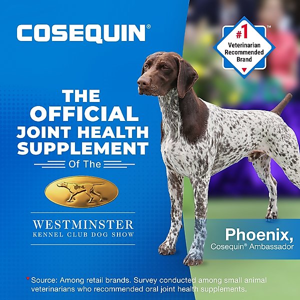 Nutramax Cosequin Maximum Strength Chewable Tablet Joint Health Supplement for Dogs