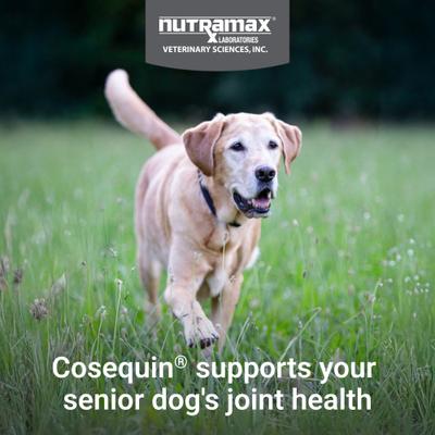 Show full view: Nutramax Cosequin Joint Health Supplement with Glucosamine, Chondroitin, MSM, Omega-3s & Beta-Glucan Soft Chews for Senior Dogs, 120 count slide 4 of 12