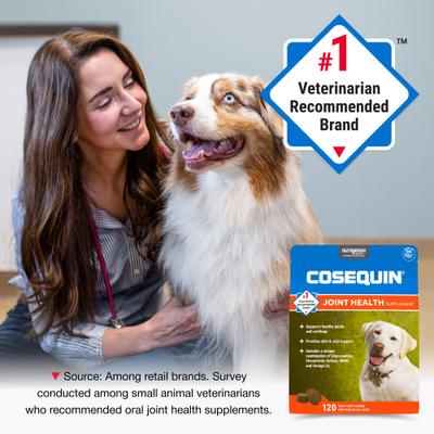 Nutramax Cosequin Hip & Joint with Glucosamine, Chondroitin, MSM & Omega-3's Soft Chews Joint Supplement for Dogs