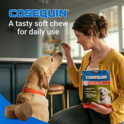 Show full view: Nutramax Cosequin Joint Health Supplement with Glucosamine, Chondroitin, MSM & Omega-3's Soft Chews for Dogs, 120 count slide 5 of 10