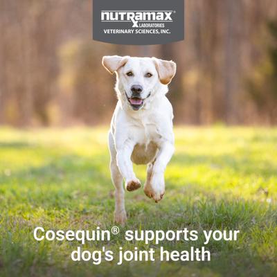 Show full view: Nutramax Cosequin Joint Health Supplement with Glucosamine, Chondroitin, MSM & Omega-3's Soft Chews for Dogs, 240 count slide 3 of 12