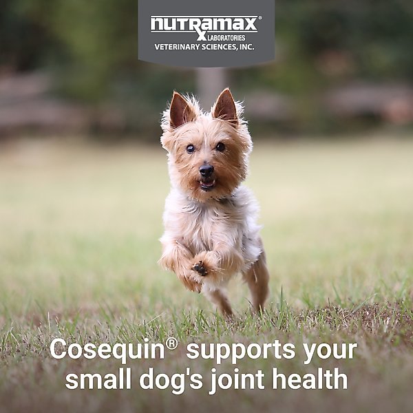 Show full view: Nutramax Cosequin Joint Health Supplement with Glucosamine, Chondroitin, MSM & Omega-3's Soft Chews for Dogs, 45 count slide 3 of 13
