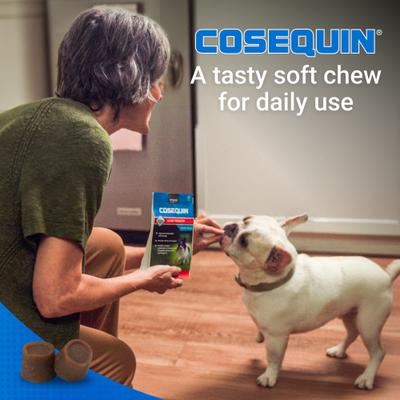 Show full view: Nutramax Cosequin Joint Health Supplement with Glucosamine, Chondroitin, MSM & Omega-3's Soft Chews for Dogs, 45 count slide 6 of 13