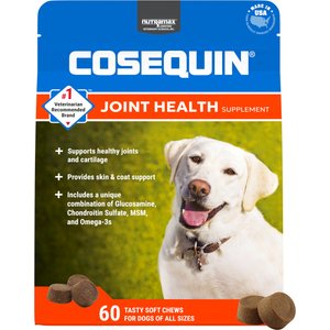 Nutramax Cosequin Joint Health Supplement with Glucosamine, Chondroitin, MSM & Omega-3's Soft Chews for Dogs, 60 count