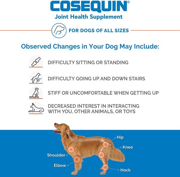 Nutramax Laboratories Cosequin Elements Chewable Tablets Joint Health Supplement for Dogs, 75 count