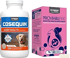 Nutramax Cosequin Maximum Strength Plus MSM Chewable Tablets Joint Supplement + Nutramax Proviable-DC Capsules Digestive Supplement for Dogs