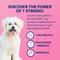 Show in main carousel: Nutramax Cosequin Maximum Strength Plus MSM Chewable Tablets Joint Supplement + Nutramax Proviable-DC Capsules Digestive Supplement for Dogs slide 9 of 10