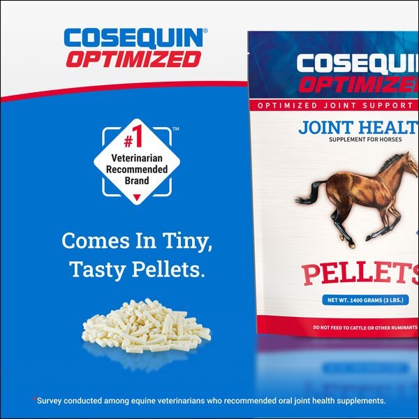 Nutramax Cosequin Optimized MSM with Glucosamine & Chondroitin Pellets Horse Joint Supplement, 1400-gr bag