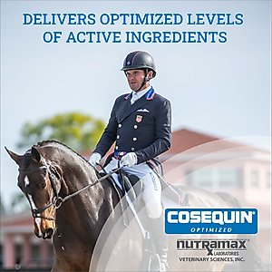 Nutramax Cosequin Optimized with MSM Joint Health Apple Flavor Powder Horse Supplement, 1400 Grams