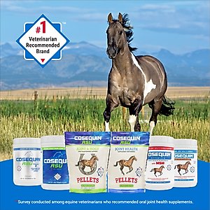 Nutramax Cosequin Optimized with MSM Joint Health Apple Flavor Powder Horse Supplement, 1400 Grams
