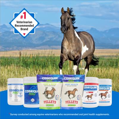 Show full view: Nutramax Cosequin Original Glucosamine & Chondroitin Pellets Horse Joint Supplement, 910-gr bag slide 4 of 8