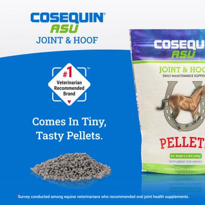 Show full view: Nutramax Cosequin Pellets Joint & Hoof Joint Health Supplement for Horses, 1200-grams slide 7 of 10