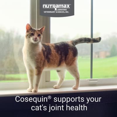 Show full view: Nutramax Cosequin with Glucosamine, Chondroitin & Omega-3s Soft Chew Joint Supplement for Cats, 120 count slide 3 of 12